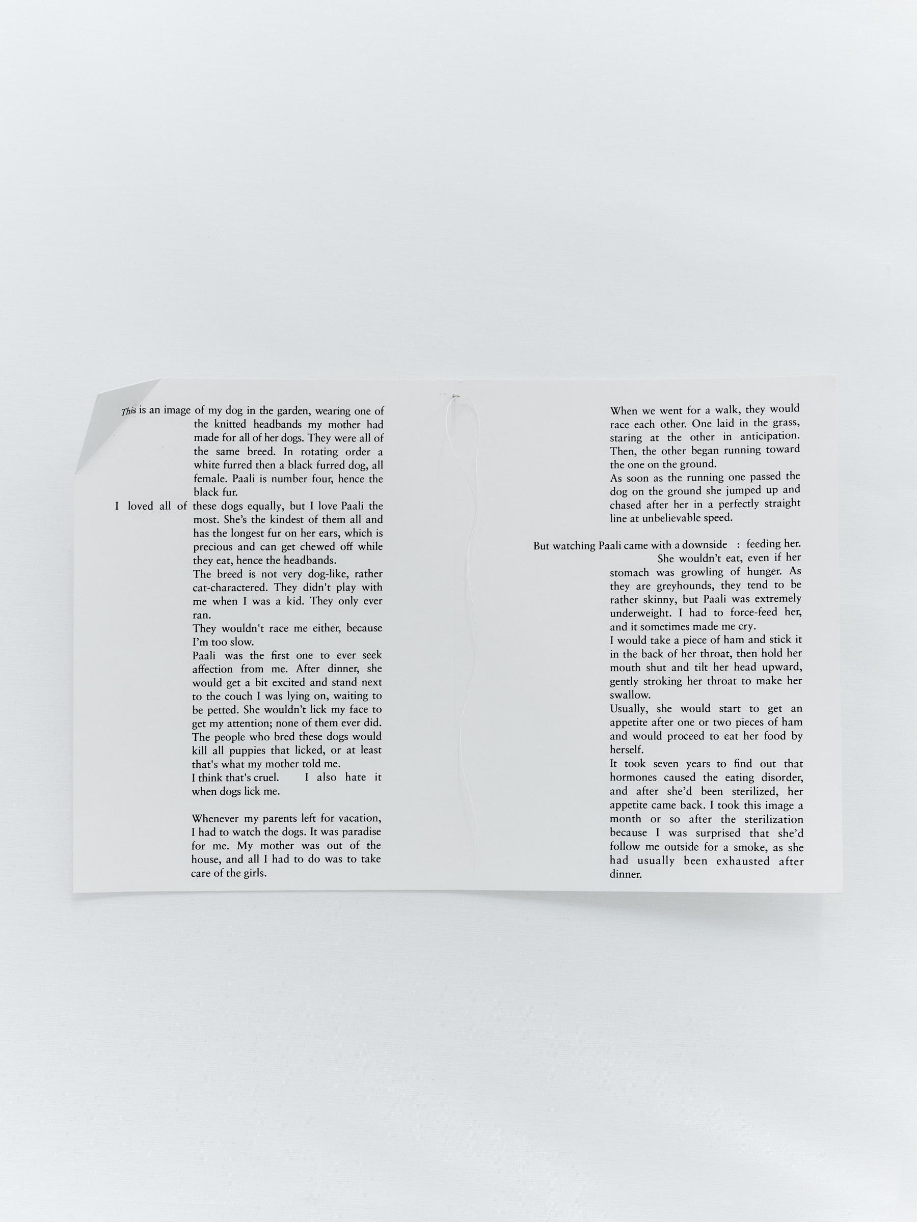 An open printed booklet on a white wall, with a text about the artist's dog Paali.